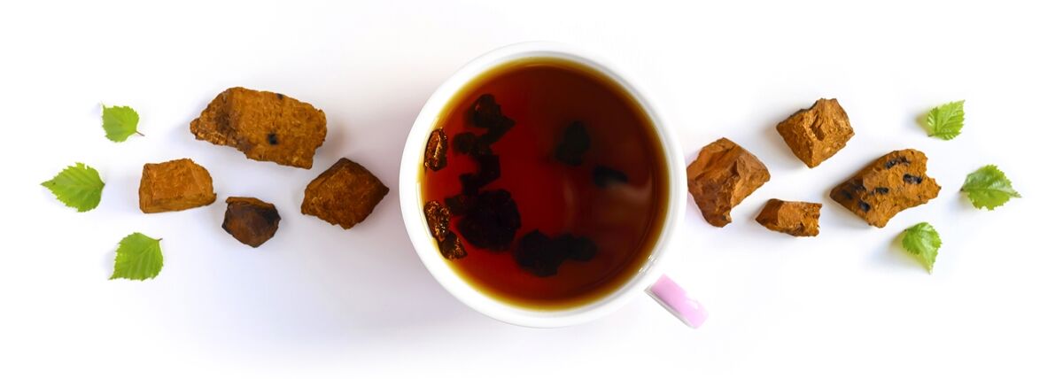 Daganatellenes gyógygombák