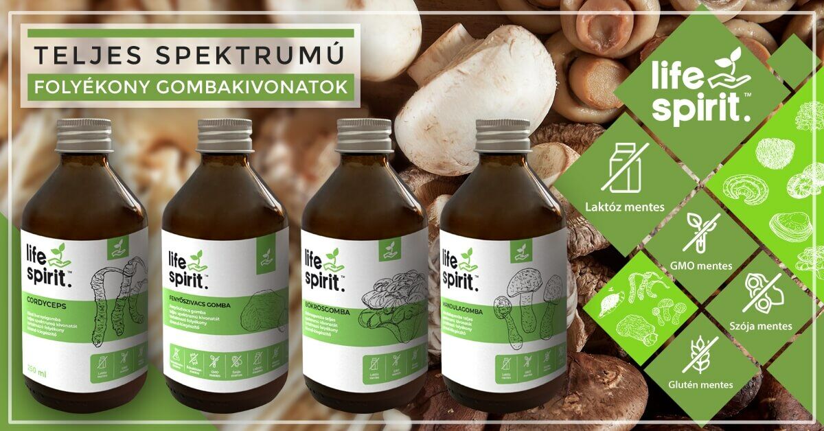 Teljes spektrumú folyékony gyógygomba kivonatok a Life Spirit-től
