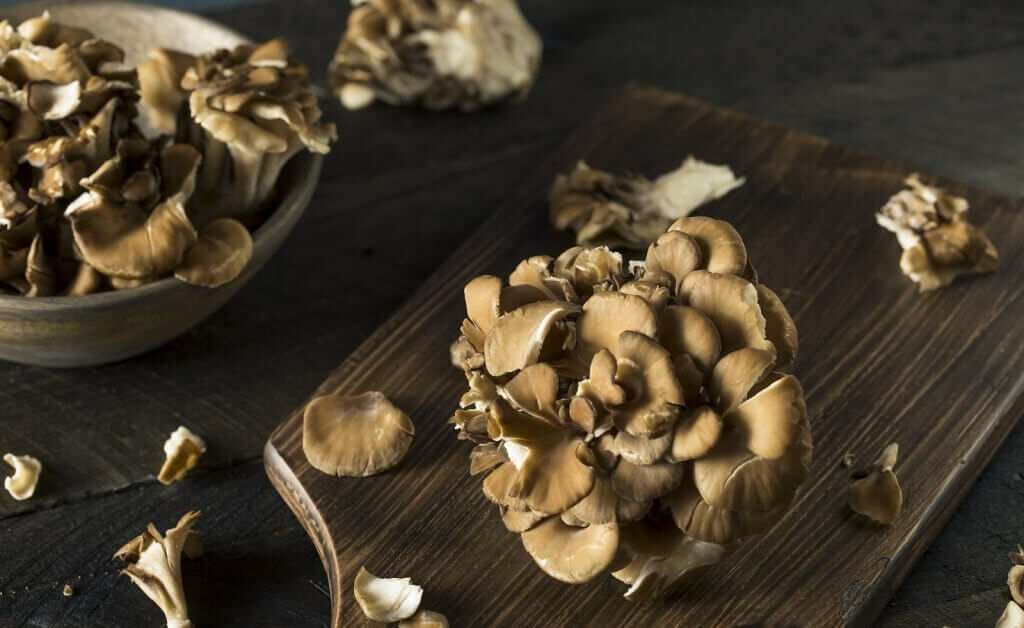 A bokrosgomba antitumorális és immunerősítő természetes szer
