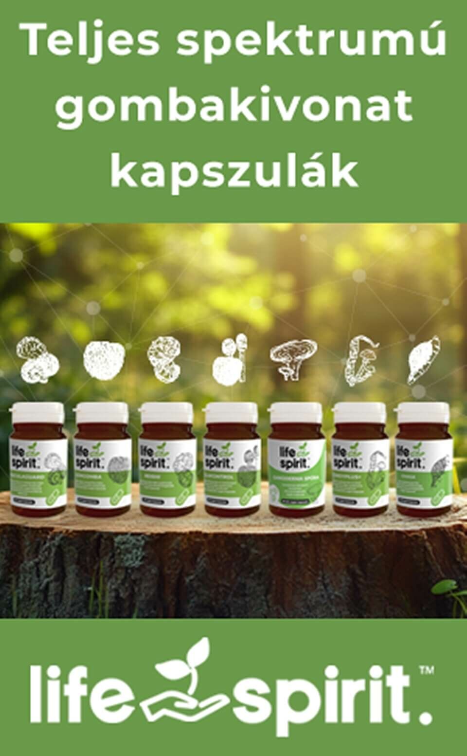 Teljes spektrumú gombakivonat kapszulák