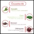 Khadi Natural Red Onion Cleanser Ayurvédikus Gyógynövény Sampon Vöröshagymával 210 ml