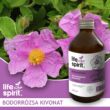 Bodorrózsa kivonat (Cistus incanus)