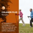 PrismaNatural Colagen Plus Flexiplus ízületerősítő italpor - narancs ízű 300 g