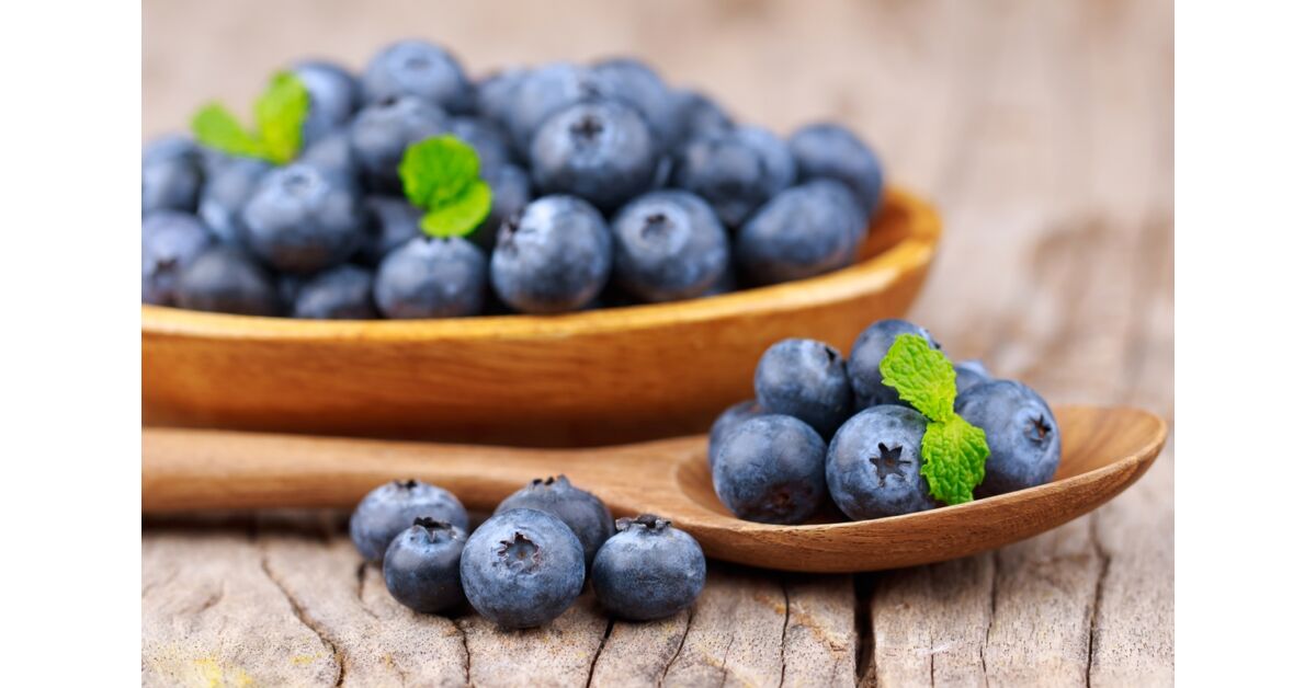 Fekete áfonya (Vaccinium myrtillus)