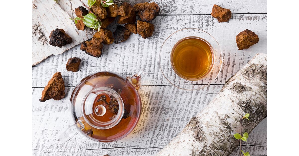 Gombákkal a tumoros betegségek ellen