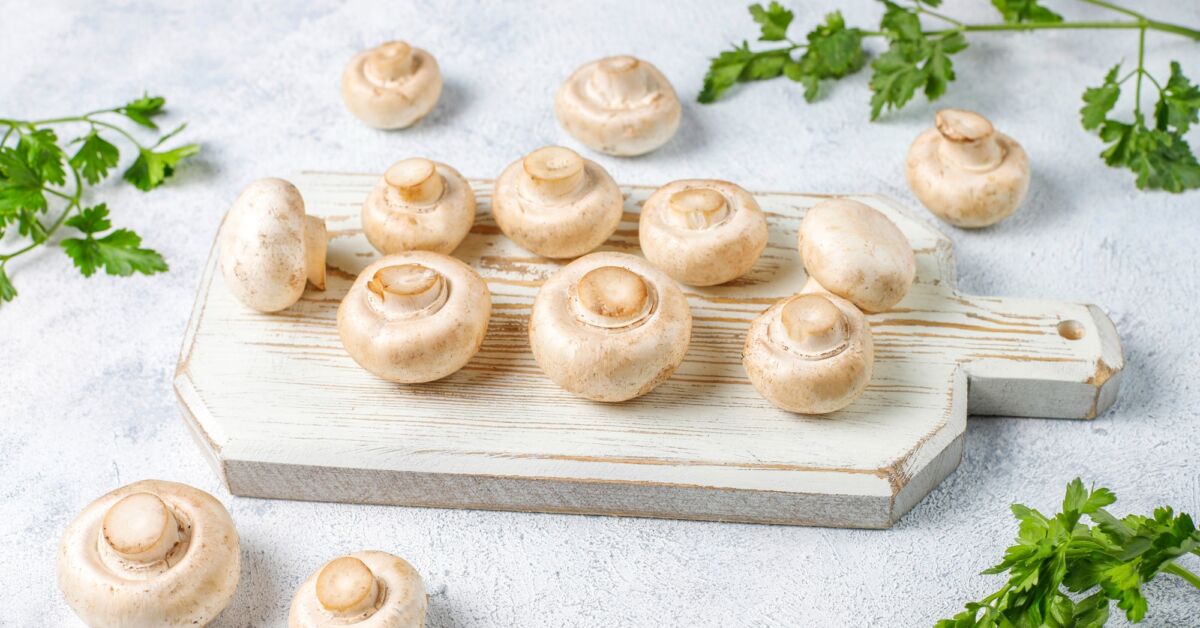 Csiperkegomba - egy méltatlanul kezelt gyógygomba