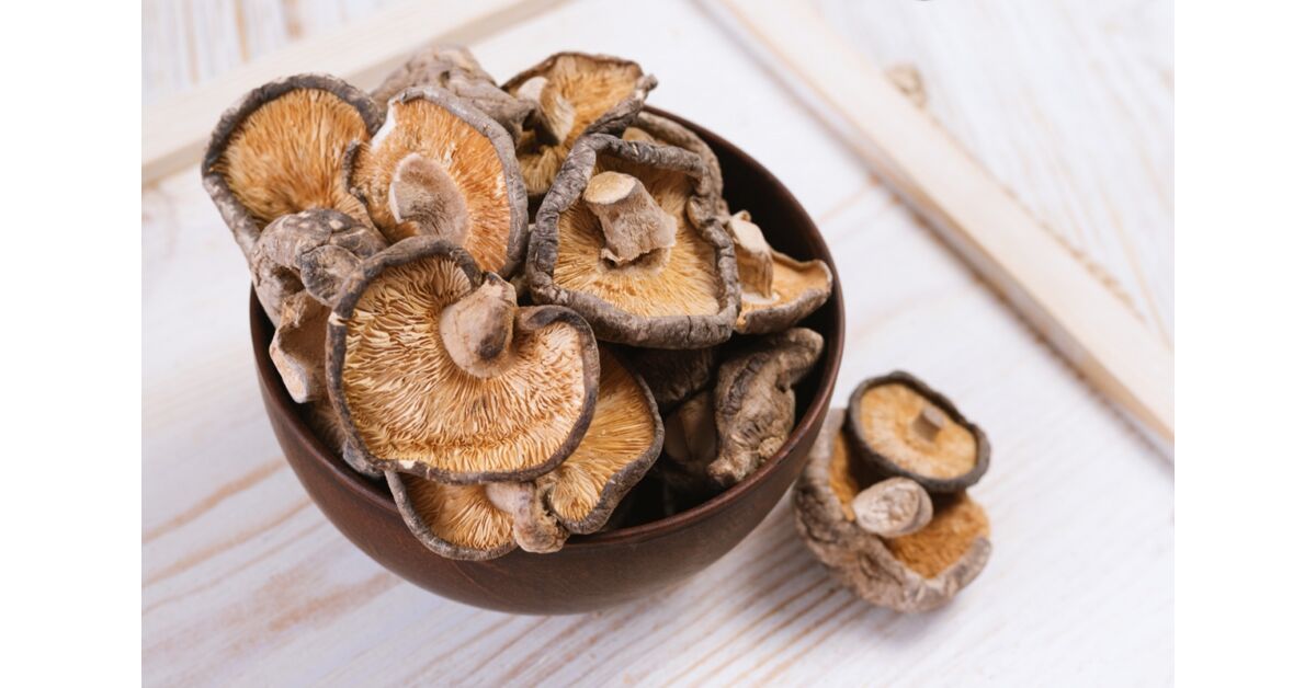 Shiitake gomba - egy japán világszám