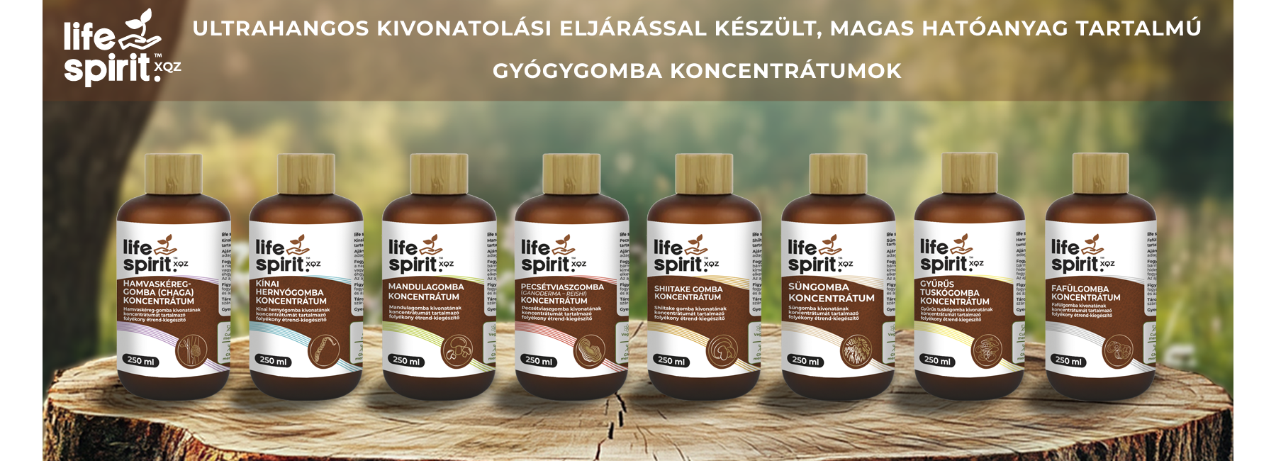 /kereses?description=0&keyword=xqz+koncentr%C3%A1tum