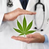 Kender és kenderolaj tartalmú termékek