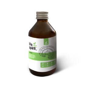 Pecsétviaszgomba (Ganoderma lucidum / reishi / ling-zhi) kivonat