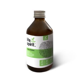 Süngomba (Hericium erinaceus) kivonat