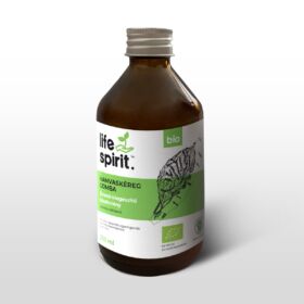 gomba chaga a prosztatitisből