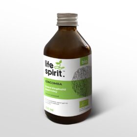 Life Spirit Süngomba kivonat 250 ml