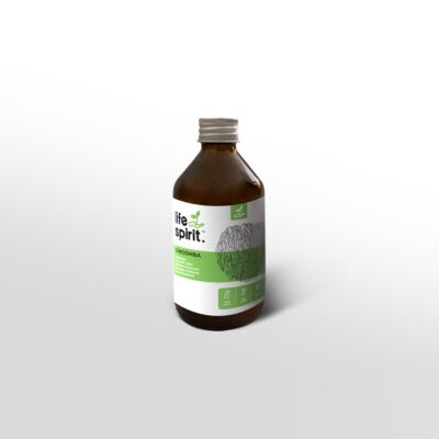 Süngomba (Hericium erinaceus) kivonat