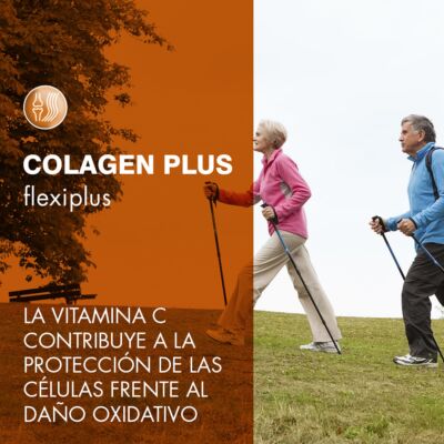 PrismaNatural Colagen Plus Flexiplus ízületerősítő italpor - narancs ízű 300 g