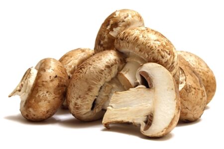 Shiitake gyógygomba (Illatos gomba, Lentinula edodes)