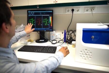 Gyógyító hatású gombakivonatok az egészségesebb életmód szolgálatában