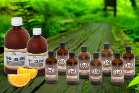 NaJa Forest gyógygomba kivonatok kedvezményes Interhealth Lipo C Sol 1000 liposzómás C-vitaminnal