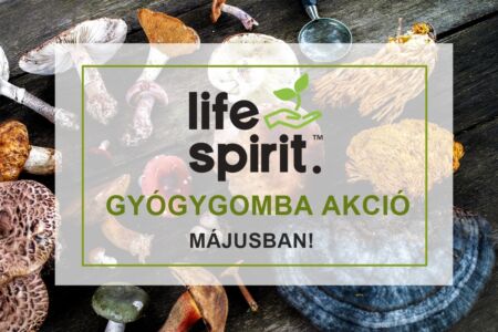 Life Spirit gyógygomba akciók 2023. Május hónapban!
