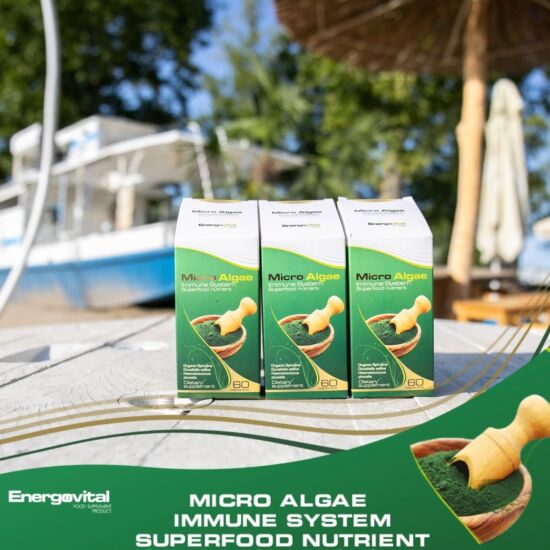 Micro Algae Immune System alga kapszula