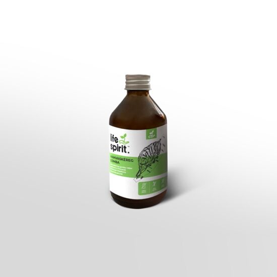 Hamvaskéreg gomba (Chaga) kivonat